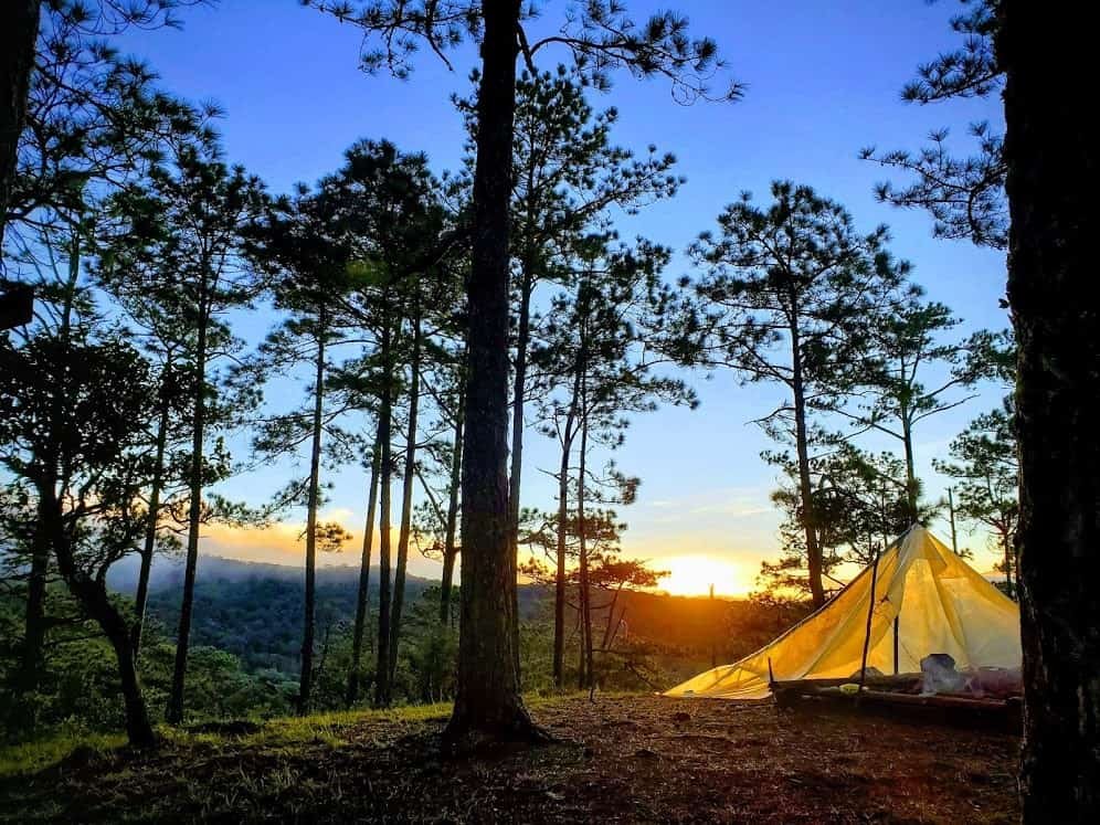 Northern Vietnam national park launches night tour